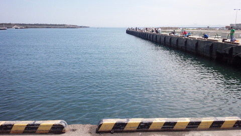 IMG_20150503_125830.jpg
